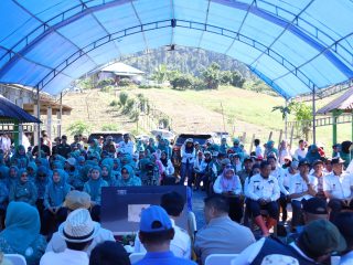 Pemkab Kabupaten Konawe Utara Bersama Tim Penggerak PKK Tanam Komoditi Cabai di Awila Puncak